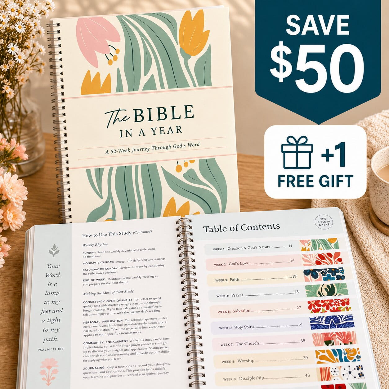Bible In A Year: 52-Week Study